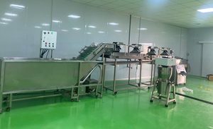 Tự nhiên đông lạnh calamansi/Kumquat nước trái cây iqf chế biến toàn bộ bột giấy puree bảo quản không có chất phụ gia số lượng lớn Việt Nam - Product Image 5