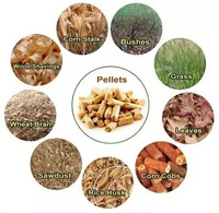 Granulés de bois haut de gamme de haute qualité du Vietnam Catégorie de produits meilleur prix