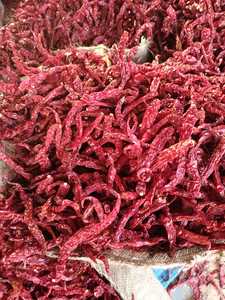 Venta al por mayor de Chile Byadgi en polvo, exportación de una sola parte de hierba seca de la India; Fabricante de chiles secos crudos - Product Image 2