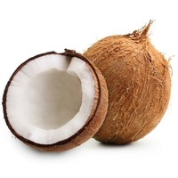 Leverancier Tropisch Fruit Verse Kokosnoot Topkwaliteit Half-Gepeld Uit Yala Thailand