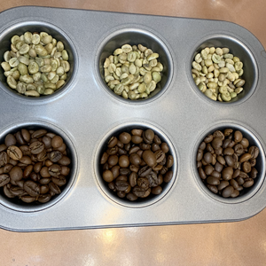 กาแฟโรบัสต้าเวียดนามเมล็ดดิบคั่วธรรมชาติ S18 ยี่ห้อ NT COFFEE เกรด 1 ราคาส่ง ปริมาณสั่งซื้อขั้นต่ำน้อย ราคาแข่งขัน - Product Image 2