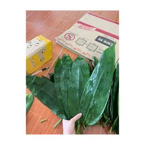 ใบไผ่ย่อยสลายได้จากเวียดนามวัตถุดิบแห้งสำหรับห่อเค้กพร้อมส่งออก - Product Image 4