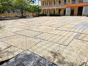 เสื่อหญ้าทะเลตกแต่งจากเวียดนาม ให้สัมผัสจากเส้นใยธรรมชาติ เหมาะสำหรับการออกแบบพื้นที่ทำงาน การปรับปรุงบ้าน และความต้องการด้านการค้าปลีก - Product Image 4