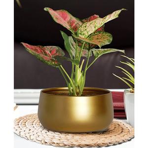 Hotel de lujo restaurante Mesa decoración floreros hechos a mano decorativos mejor calidad chapado en oro Metal floreros - Product Image 6