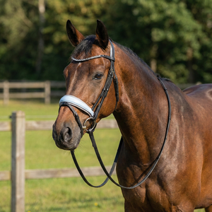 Brida Inglesa Premium de Alta Calidad y Confortable para Caballos, Cuero Negro y Gris con Muserola Acolchada y Diadema con Cristales - Product Image 2