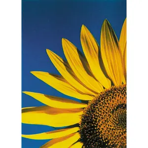 Carte de vœux style simple avec grand tournesol, impression numérique, Nouvel An, personnalisation OEM/ODM, logo sur mesure bienvenu - Product Image 1