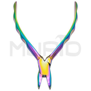 Best Quality Steel Chain <b>Nose</b> <b>Pliers</b> with <b>Bent</b> Rainbow Design Hot Selling for Jewelry Application - Product Image 5