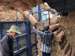 Beachcomber-artesanía de madera - Product Image 2