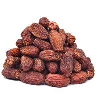 Groothandel Topkwaliteit Verse Dadels / Gedroogde Dadels / Dadelfruit