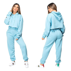 Sudaderas con capucha cortas de entrenamiento de alta calidad OEM para mujer, logotipo personalizado y diseño, Top corto de entrenamiento físico, ropa de gimnasio de manga larga para mujer - Product Image 1
