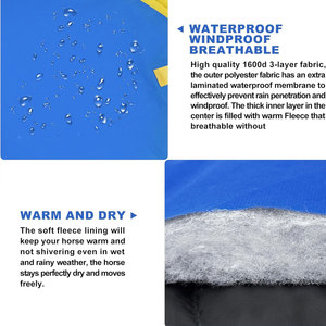 ผ้าคลุมม้าตาข่าย PVC น้ำหนักเบา ราคาประหยัด วัสดุคุณภาพสูง สีสันตามสั่ง มีจำหน่าย - Product Image 6