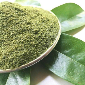 Puro y potente: polvo de hoja de Guanábana listo para exportar desde Vietnam - Product Image 4