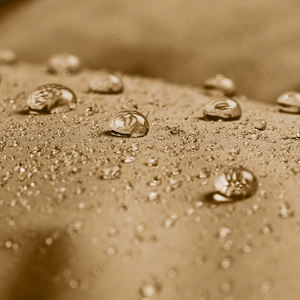 Chaqueta acolchada de manga larga con diseño transpirable para mujer a la venta/Chaquetas acolchadas de color sólido y patrón para mujer - Product Image 5