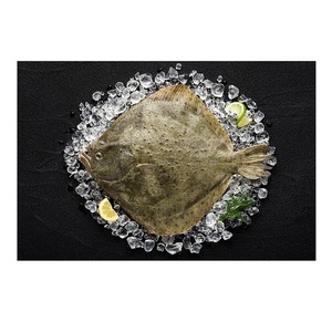 Pescado Turbot Entero Congelado de Alta Calidad a Bajo Precio - Product Image 6