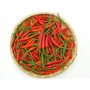 CHILI CALIENTE Y FRESCO/PARA UN SABOR AUTÉNTICO Y PICANTE/HECHO EN VIETNAM - Product Image 1