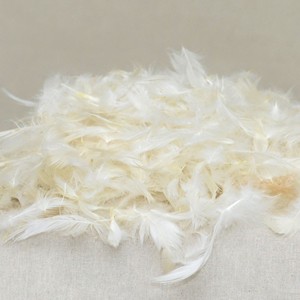 Selected Prime Quality Dyed Duck Feathers Soft and Flexible for Festival Wear Masks Stage <b>Props</b> <b>Washed</b> Pattern Costume Design - Product Image 4