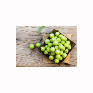 Encurtido de amla, producto tradicional de fruta en conserva para tiendas minoristas, distribuidores de alimentos y mercados étnicos globales - Product Image 2