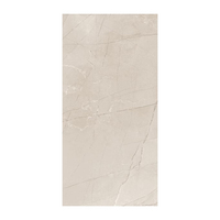 Carreaux muraux en porcelaine 300x600mm, finition sculptée |   Robuste et Durable |   Résistant aux acides et antibactérien |   Murs intérieurs à chauffage hygiénique