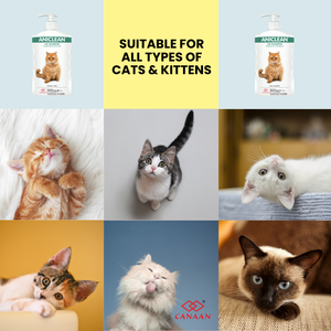 Shampoo pour animaux de compagnie Aniclean, écologique, naturel, bouteille durable, hygiène, nettoyage, toilettage, traitement pour chats et chiens, fabriqué en Malaisie - Product Image 5