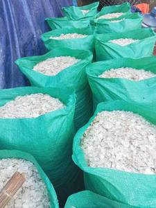 Écailles de poisson séchées du Vietnam, haute qualité, en gros, nettoyées, source naturelle pour engrais et aliments, 20kg/carton, meilleur prix abordable - Product Image 5