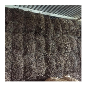 เจลลี่หญ้าสีดำระดับพรีเมี่ยมจากเวียดนามสำหรับดื่มทั่วโลกชาบับเบิ้ลและของหวาน - Product Image 5