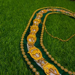 Delantal masónico DELANTAL DEL TESORERO Masonic Regalia - Product Image 6