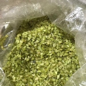 Copos de arroz dulce joven com Tuoi Hanoi comidas tradicionales famosas - Product Image 5