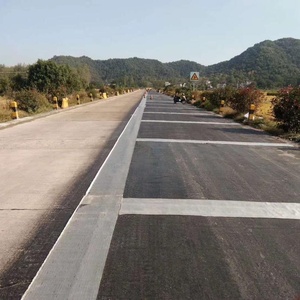 Biaxiaal Weven Warp Gebreide Polyester <span class=keywords><strong>Geogrid</strong></span> Voor Wegenbouw Opritten Lange Service Bestrating Keermuur Kunststof Hdpe - Product Image 4