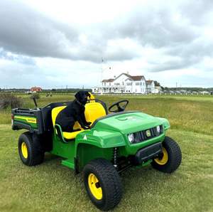 Véhicules utilitaires 2 places 800cc 1000cc UTV 4x4 Utilitaire 2016 JOHNN DEER GATOR XUV 835 pour la ferme à vendre. - Product Image 4