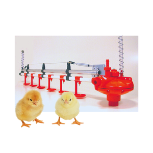Sistema automático de línea de alimentación y bebida, plástico a buen precio para equipos de cría de aves de corral, fabricante de Vietnam - Product Image 6