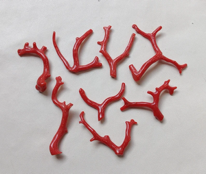 ¡Coral! Piedra preciosa de Coral italiano Natural 100%, ramas de palitos de Coral rojo, ramas de Coral bien pulidas de calidad AAA, palitos de Coral - Product Image 2