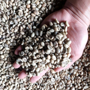 Vietnamese Robusta Coffee Green <b>Beans</b> December Delivery Roasted <b>Bean</b> <b>Product</b> - Product Image 1