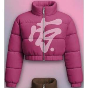 Chaqueta de Invierno Personalizada para Mujer 2026, Chaqueta Acolchada Corta Brillante con Mangas Largas y Cuello Alto para Uso Casual de Otoño - Product Image 2