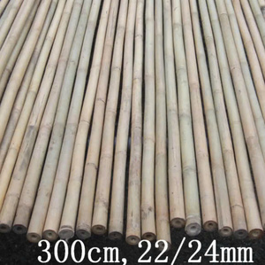 Estacas de bambú, estacas de bambú utilizadas para enrejado, estacas de bambú utilizadas en la agricultura, poste de bambú utilizado en la construcción - Product Image 5