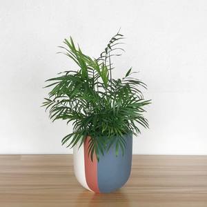 Pot de fleurs en céramique surélevé moderne avec pieds en bois, support de plantes décoratif d'intérieur durable - Product Image 6