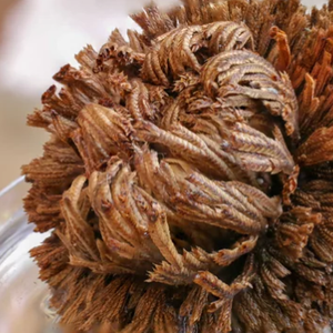 Crema de recuperación calmante hidratante Resurrection Plant Rose of Jericho ODM / OBM desarrollada y formulada en Corea - Product Image 4