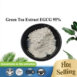 Approvisionnement d'usine EGCG Épigallocatéchine Gallate Poudre Extrait De Thé Vert 98% EGCG Épigallocatéchine Gallate Extrait De Thé Vert - Product Image 3