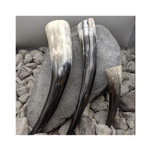 Cuerno para beber vikingo hecho a mano Natural del proveedor mejor listado, artesanía pulida hecha a mano más vendida para compradores a granel - Product Image 1