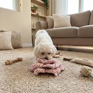 Jouet à mâcher pour chien en forme de fleur de cerisier, petit format, écologique, durable, interactif, en peluche et polaire avec coton pour chats - Product Image 4