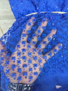 Tela de red Mono de poliéster con bordado Schffily para material de disfraces indios y paquistaníes - Product Image 6