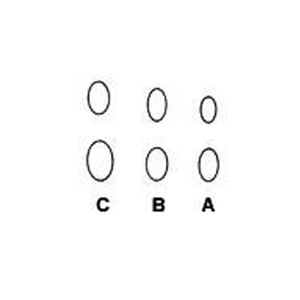 Rongeurs เครื่องตัดกระดูกเครื่องมือผ่าตัดที่ทนทานและแม่นยำ - Product Image 6