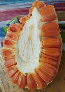 Proceso de Congelación IQF, Jaca Roja de Primera Calidad, Color Rojo, Agrícola, Jaca Pelada ANGLE - Product Image 2