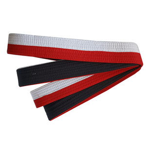 Cinturones de artes marciales personalizados Realsin MMA, de alta calidad, kárate, Taekwondo, cinturón de Color, venta al por mayor - Product Image 4