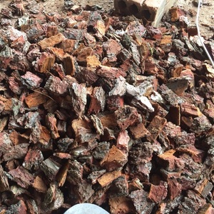 Livraison rapide, écorce de bois, paillis, écorce de pin, matière première, extrait d'écorce de pin en poudre - Product Image 2