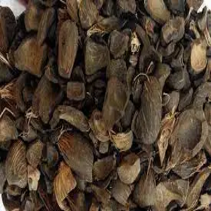 เปลือกเมล็ดปาล์ม - Product Image 6