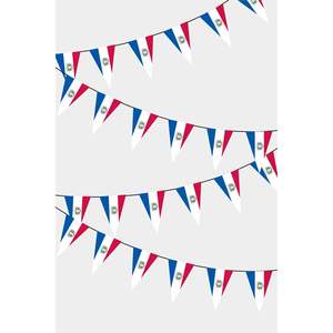 Guirnalda de Banderines Triangulares de Paraguay para Decoración de Fiestas - Product Image 1