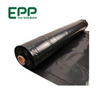 Film de paillage agricole biodégradable EPP Vietnam, PE souple noir/argent, haute qualité, pour riz, fruits, œufs, traité anti-UV, anti-humidité