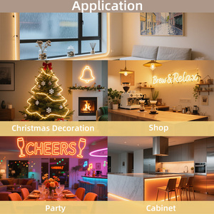 Lampu Strip <span class=keywords><strong>Neon</strong></span> Tahan Air OEM ODM IP67 24V Tahan Air Luar Ruangan 12V 0410 Strip <span class=keywords><strong>Neon</strong></span> Fleksibel Putih Hangat, Putih Dingin, RGB - Product Image 4