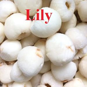 Approvisionnement en vrac et marque privée de litchi congelé du Vietnam/Lily - Product Image 2