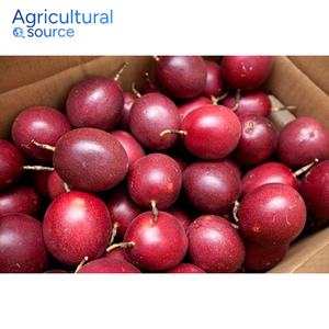 Fruta fresca Top 1-Con rico sabor dulce y apariencia atractiva Fruta de La pasión-Para beber en verano-De la fábrica de Vietnam - Product Image 2